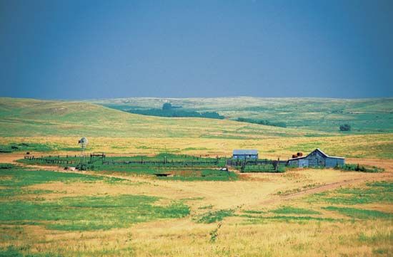 Kansas grassland