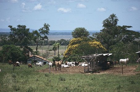 Paraguay