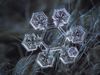 How do snowflakes form?