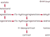 pathways in the biosynthesis of steroid hormones
