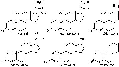 steroid hormones