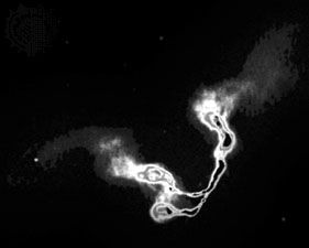 radio galaxy