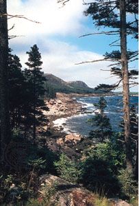Maine: Mount Desert Island