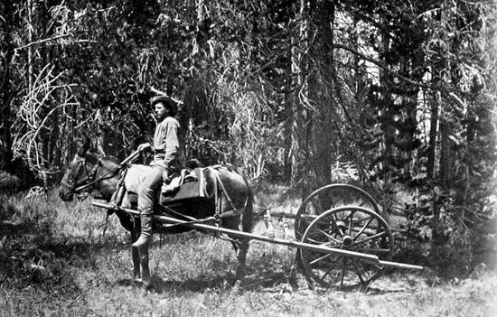 Yellowstone National Park: surveyors using a horse drawn odometer, 1871
