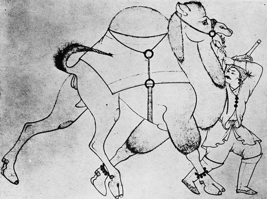 “Camel with Driver”