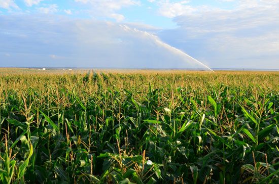 France: irrigation