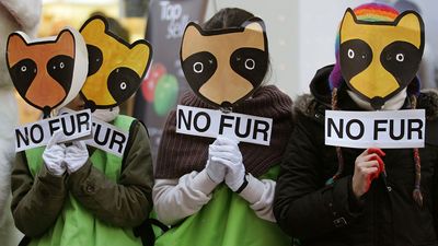 Animal-rights protest in Seoul.