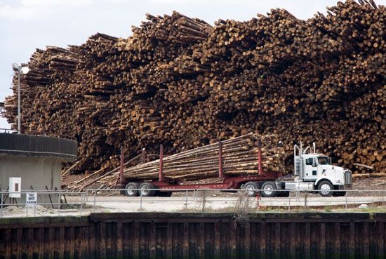 Georgia: logging