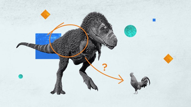 Did dinosaurs really have feathers? In the 1990s, the first dinosaur fossils with feather-like structures were discovered. Further discoveries have convinced some scientists that all dinosaurs had a feathery covering on some part of their body.