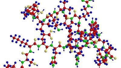 Molecular structure of a petide - sequence of amino acids