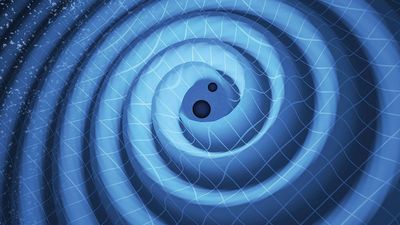 The merger of two black holes and the gravitational waves that ripple outward as the black holes spiral toward each other. The black holes-which represent those detected by LIGO on Dec. 26, 2015-were 14 and 8 times the mass of the sun, until they merged,