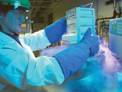 Cryopreservation